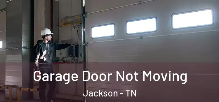  Garage Door Not Moving Jackson - TN