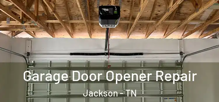  Garage Door Opener Repair Jackson - TN