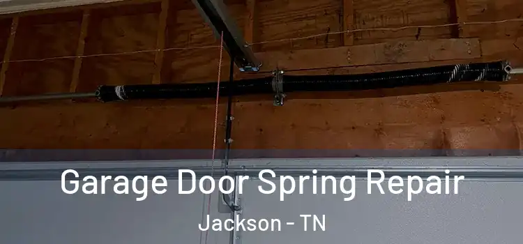  Garage Door Spring Repair Jackson - TN