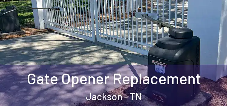  Gate Opener Replacement Jackson - TN